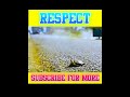 Animals lover  must wait for end  respect   shorts