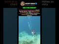 What Happens Underwater During An Earthquake
