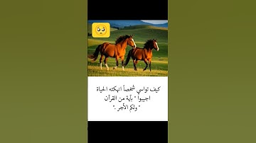 #حالات_واتس #تلاوة_خاشعة #إسلام_صبحي #تلاوة_مؤثرة #اكسبلور