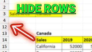 How to Hide Rows Based on Cell Values in Excel