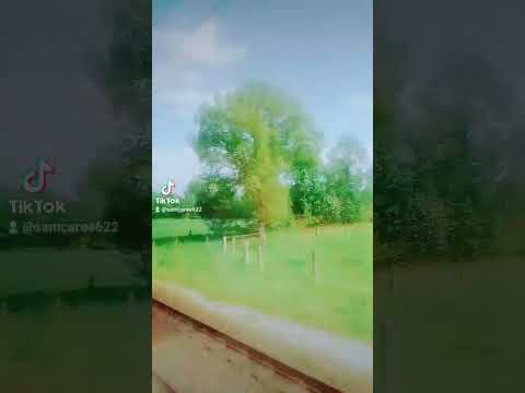 دقو الخشب