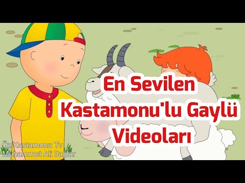 En Sevilen Kastamonulu Gaylü Videoları😍 #kastamonu #ÖzKastamonutv #kastamonulugaylü