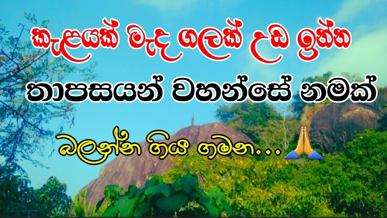 කැලයක් මැද ගලක් උඩ වැඩ ඉන්න තාපසයන් වහන්සේ නමක් බලන්න ගිය ගමන 😯🙏#flypviral #fyp #fypyoutube