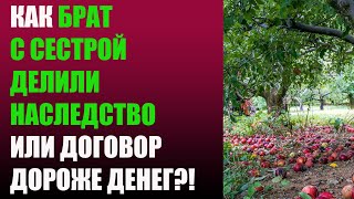 Как брат с сестрой делили наследство или договор дороже денег?!