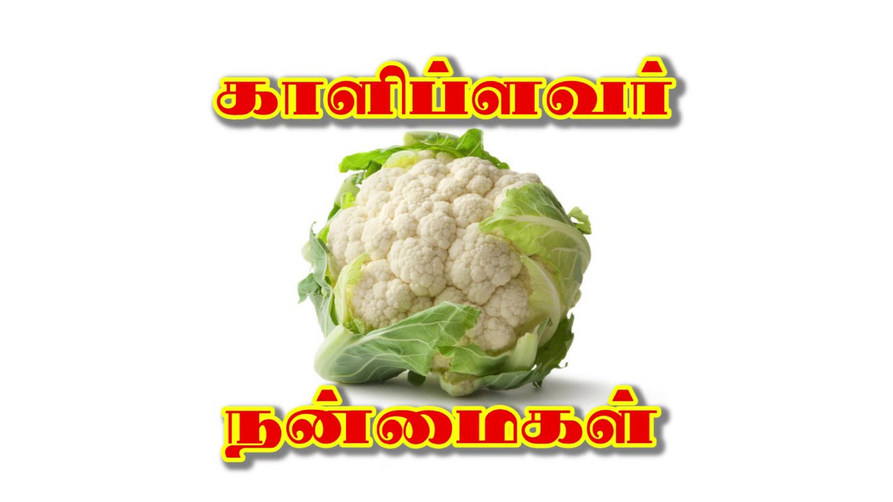 Cauliflower Benefits in Tamil (காலிபிளார் நன்மைகள்) - YouTube