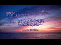 もうひとつの未来~starry spirits~森口博子ーガイドメロディーあり(cover by SINISTLA)