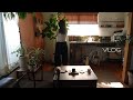 [VLOG]家具の入れ替え,自分への誕プレ第1弾_paes tabi,roku/藤の花/フィナンシェ