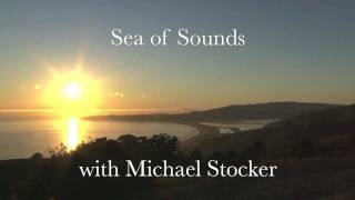 Sea Of Sounds- Ocean Conservation Research