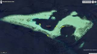 Analysis of Planet Ocean Transects using Machine Learning - DeepReefMap and CoralScapes