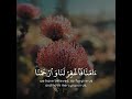 تلاوة هادئة تريح الأعصاب القاريء شريف مصطفى سورة المؤمنون