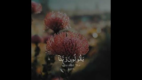 تلاوة هادئة تريح الأعصاب 😴🎧 | القاريء شريف مصطفى - سورة المؤمنون 🤍🌥️."