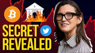 Famous Cathie Wood: The Real Reason Why Elon Musk is Buying Twitter!! (THE TRUTH) Wealth