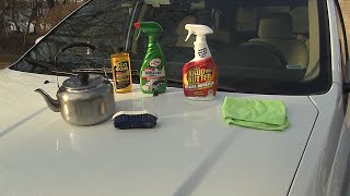 How to Get Rid of Tree Sap on Your Car 