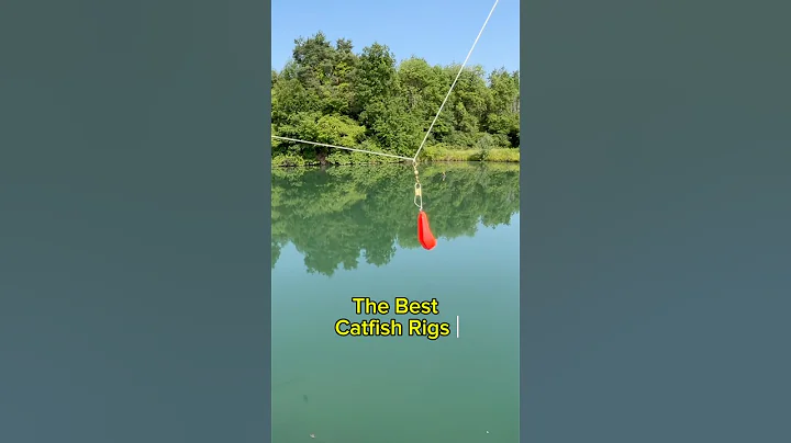 The BEST Catfish Rigs For BANK Fishing!! 🎣 #shorts #fishing