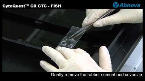 CytoQuest™ CR CTC FISH