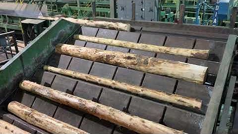 Canterline Step Feeder