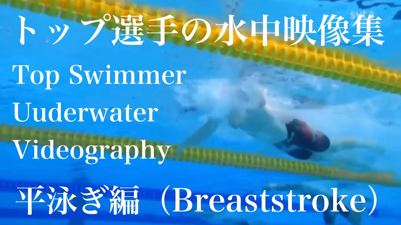 トップ選手の映像を見て勉強しよう！〜第３弾平泳ぎ編〜