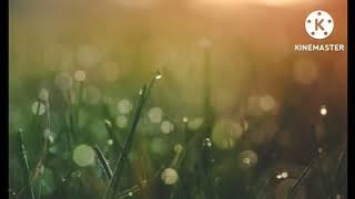 aatma ke singraw bhaiya