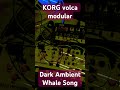 Korg volca modular dark ambient, with korg fm 2 #ambient #synthesizer #whalesounds #synthesizermusic