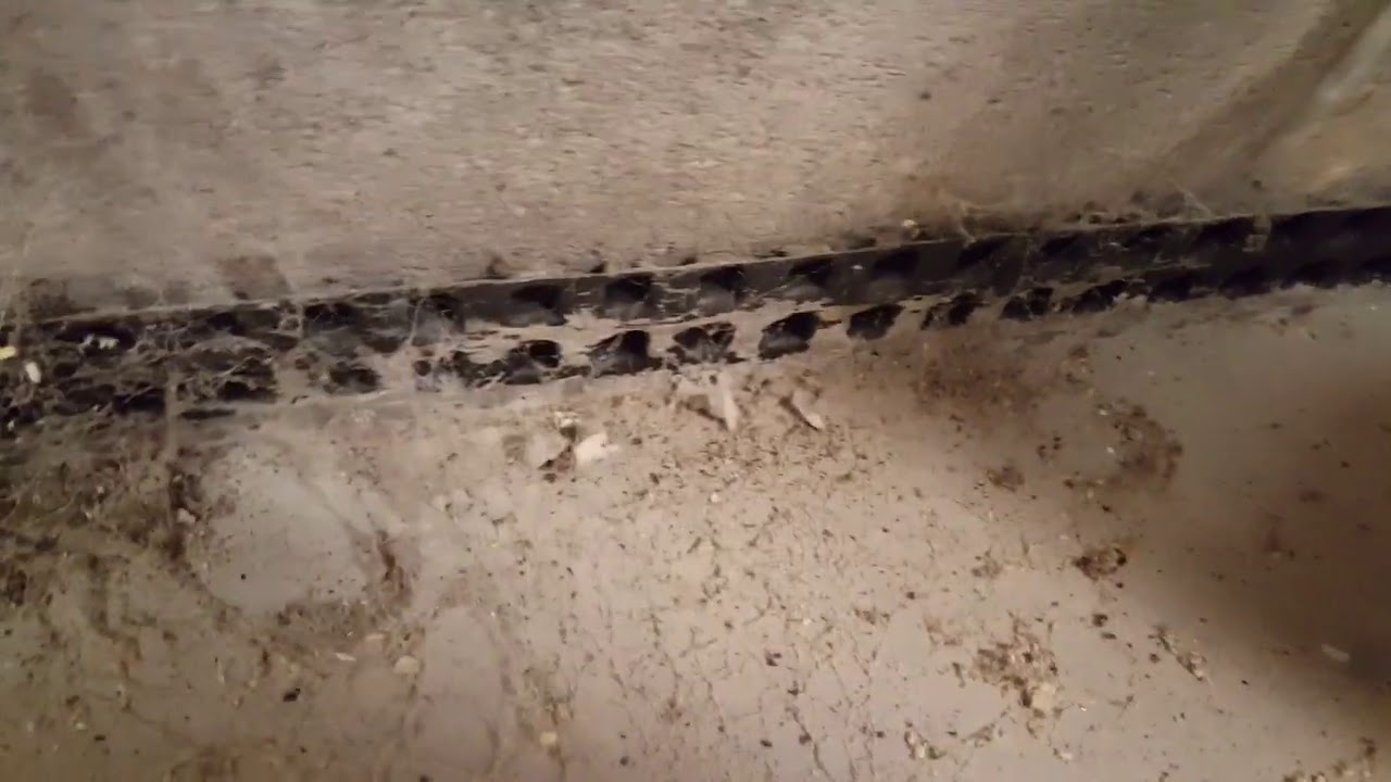 Basement wall caving in YouTube