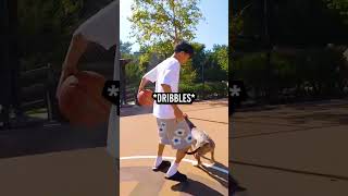 Lonzo Ball's Dog Is Chasing Ray While He Plays Basketball! 😂🐕