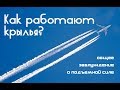 Как работают крылья. Общее заблуждение о подъемной силе.