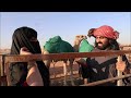 نورة الدوسري في مزاين الإبل نورة الدوسري في مزاين الإبل