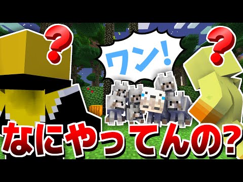 【マインクラフト】冒険してたら謎の珍しい犬がいました【マイクラ / 黄昏の森】【ぷりっつ そらびびび あっきぃ / この城】