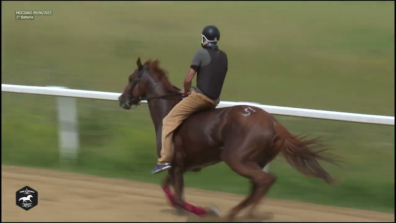 CORSE DI ADDESTRAMENTO - MOCIANO Venerdì 09 Giugno 2023