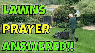 How Regular LAWN CUTTING is KEY to a THICKER LAWN