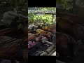 #viralvideo