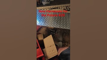 Polaris RZR Harnesses