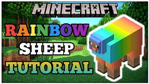 How To Make Rainbow Sheep in Minecraft (Java/Bedrock/Pe)