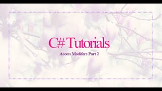 Access Modifiers Part 2 Net Worth