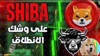 انطلاق بلوكتشين الشيبريوم ل عملة شيبا اينو و تاثيره علي عملات رقمية اخري - shiba inu coin