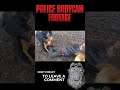 OFFICER K-9 GETS ANOTHER CRIMINAL I was this too much or justified !