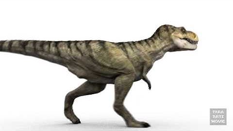 DINOSAURS - T-Rex 3D Animation Walk Cycle RenderTest