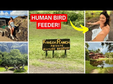Halona Blowhole, Kualoa Ranch, Valley of the Temples | NCL Pride of America Hawaii Cruise Tour!