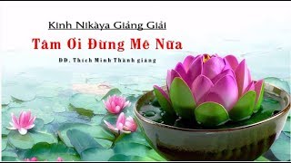 Kinh NIKAYA Giảng Giải - Tâm Ơi Đừng Mê Nữa - ĐĐ. Thích Minh Thành