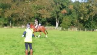 Ad ref 242803   Videos 2