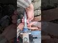#home easy fix water pump air issue #fix
