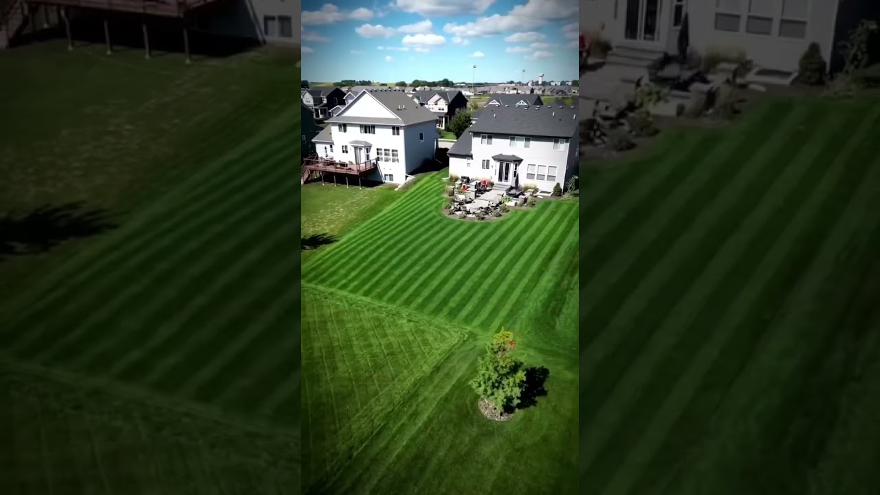 #lawn