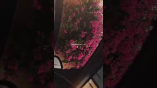 New✨🥰🌹lyrics text image adit video Watsapp Song Viral #viral #trending #lyricsvideo #love.