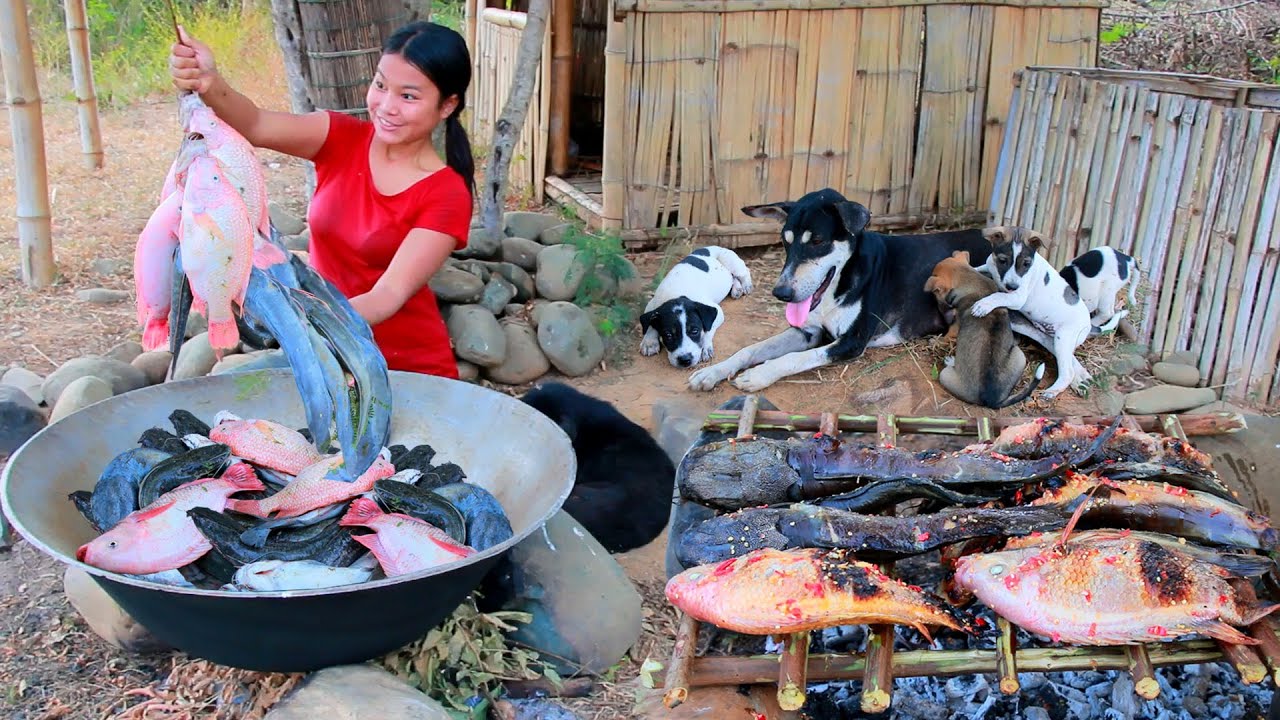 Women Build Fish Trap From Stone Catch Fish - Roast Fish with Spicy ...