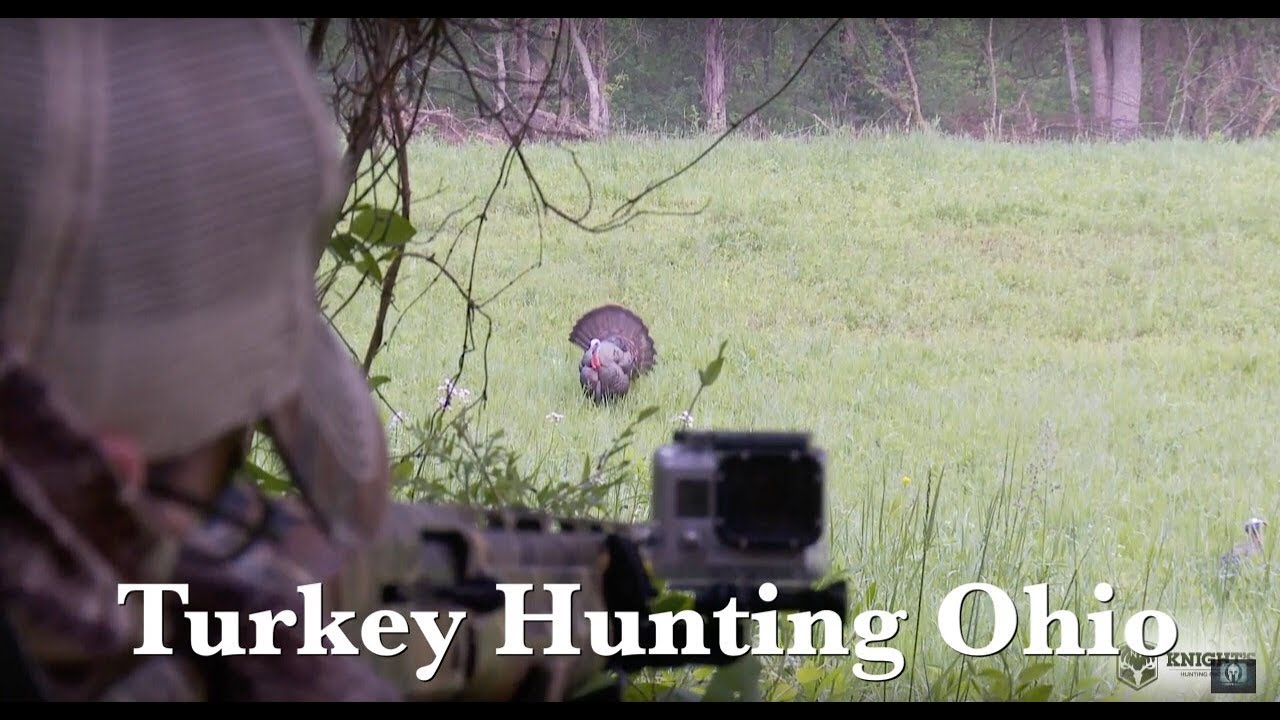 Turkey hunting ohio youtube