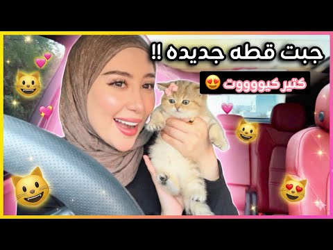 جبت قطة جديده كيووووت ساعدوني اختارلها اسم