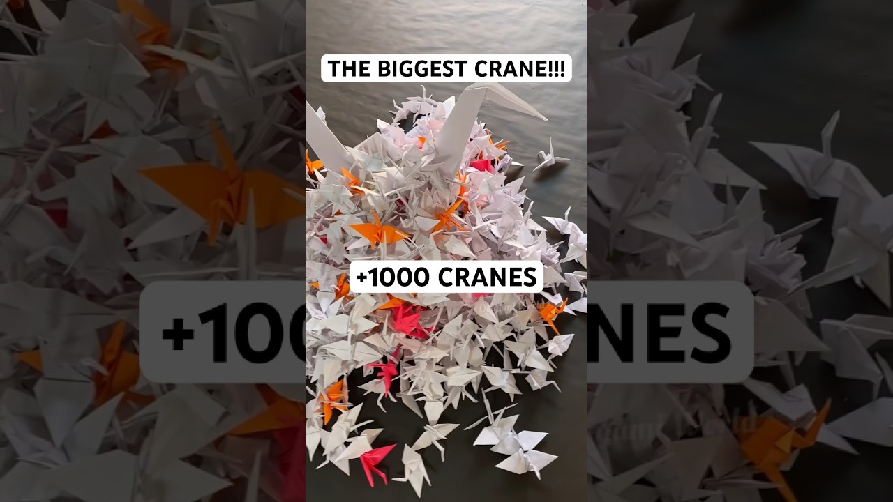 THE BIGGEST ORIGAMI CRANE TUTORIAL | DIY FULL-SIZED ORIGAMI CRANE