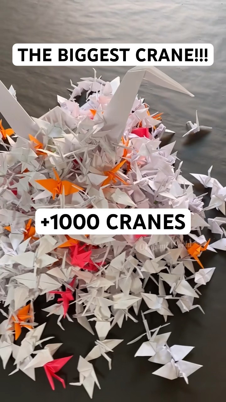 THE BIGGEST ORIGAMI CRANE TUTORIAL | DIY FULL-SIZED ORIGAMI CRANE