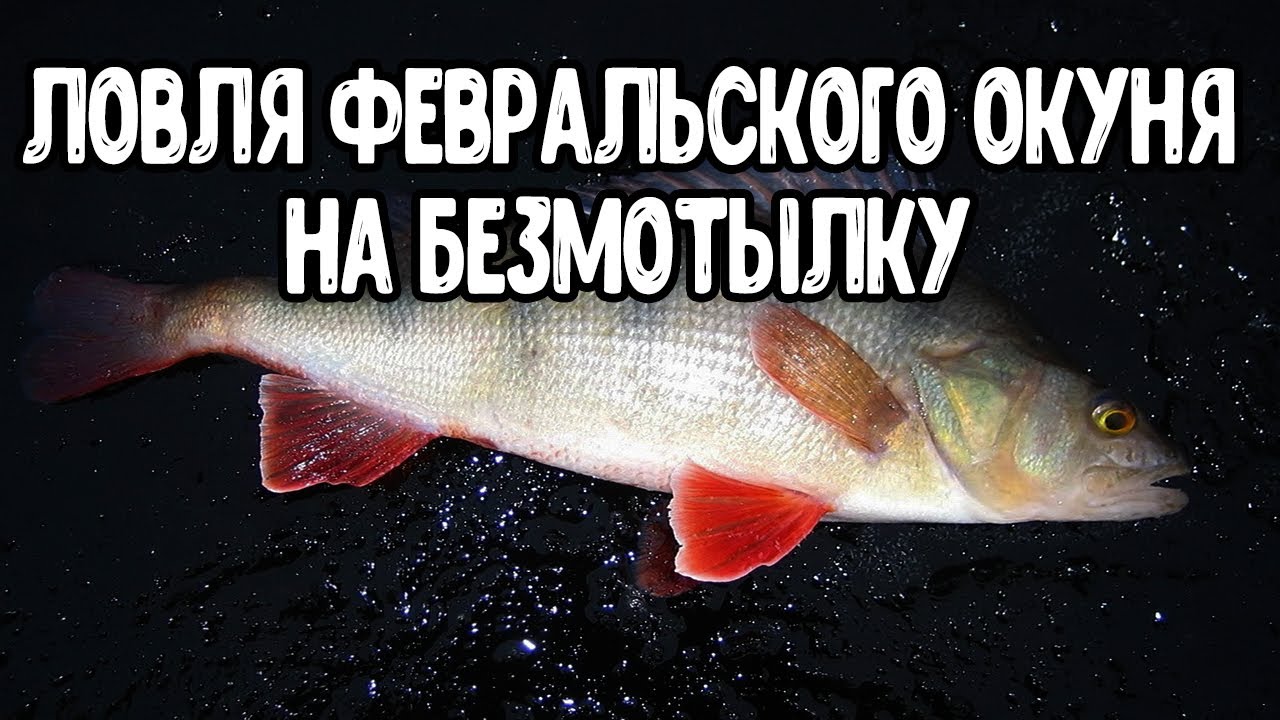 Безмотылка.Февральский окунь.Река Кама