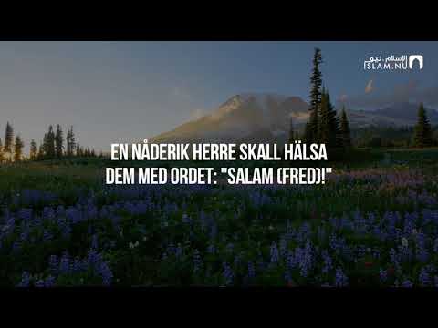 Surah Yasin (49-65) - Omar Abdullah